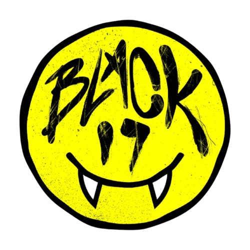 Black 17 Media